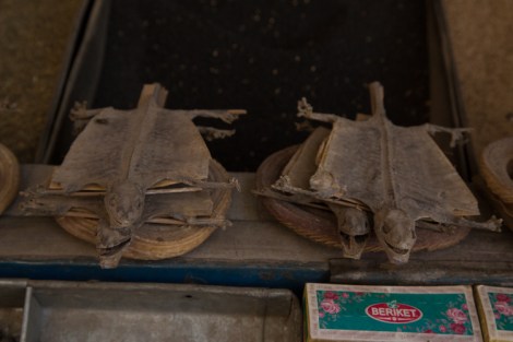 Backstreet Pharmacy, Kashgar