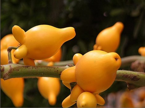 Any ideas? © Someone else, I'm afraid