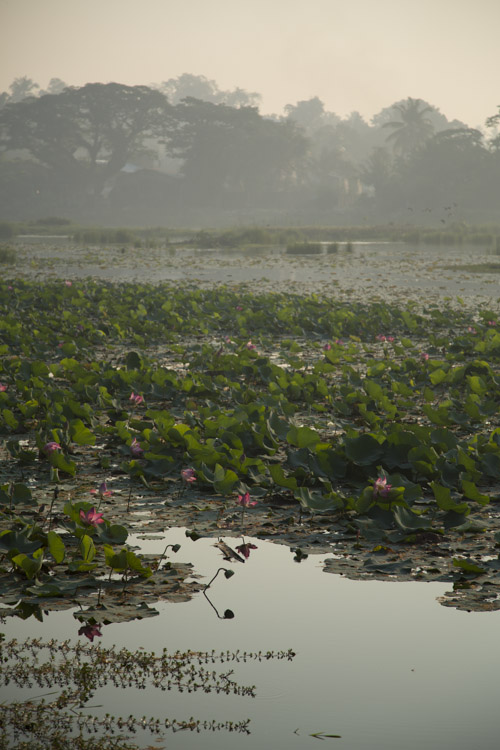 Lake, Myeik