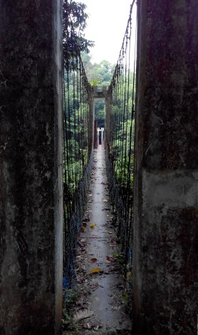 Jungle bridge, Taman Negara