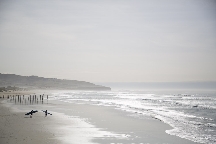 Ocean Beach, Dunedin