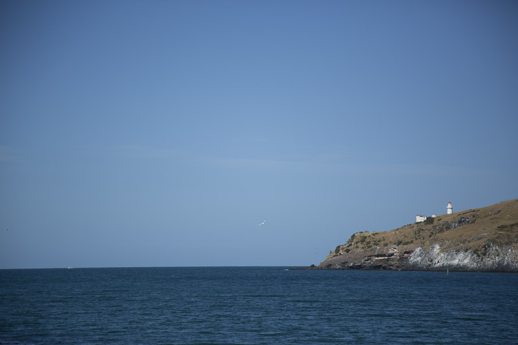 Taiaroa Head