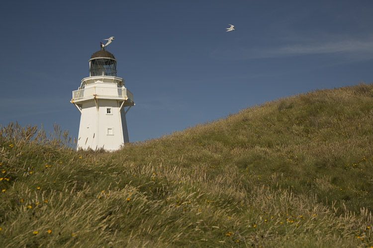 Lighthouse, Waipapa Point