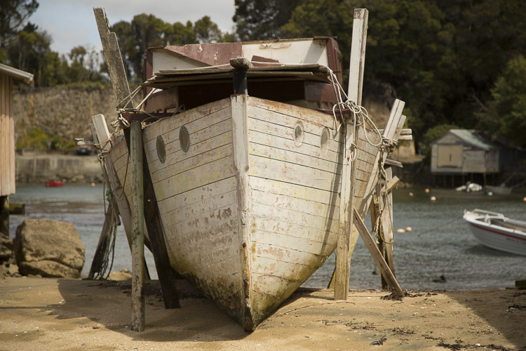 Boat, Stewart Island