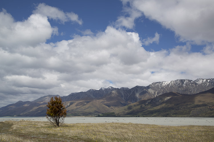 Alps 2 Ocean Stage 1